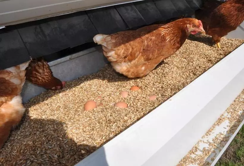 Отель Gastagwirt