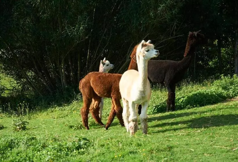 Отель Gastagwirt