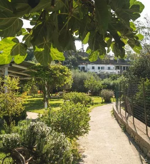 Отель Park Victoria