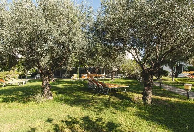 Отель Park Victoria