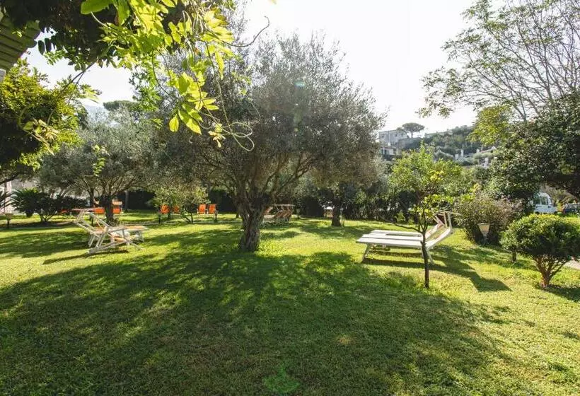 Отель Park Victoria