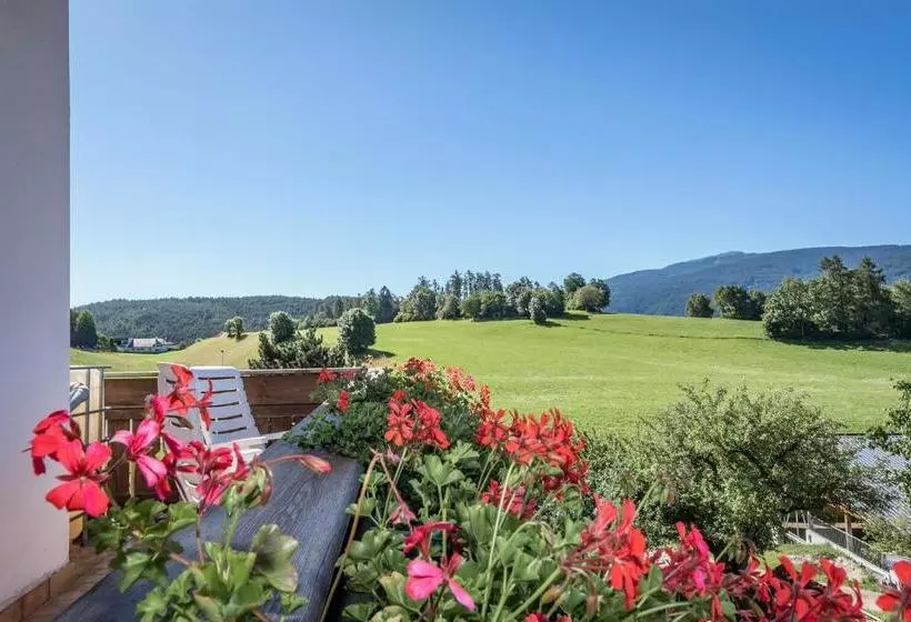 ホテル Wiedenhofer