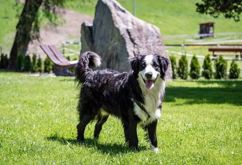 ホテル Wiedenhofer