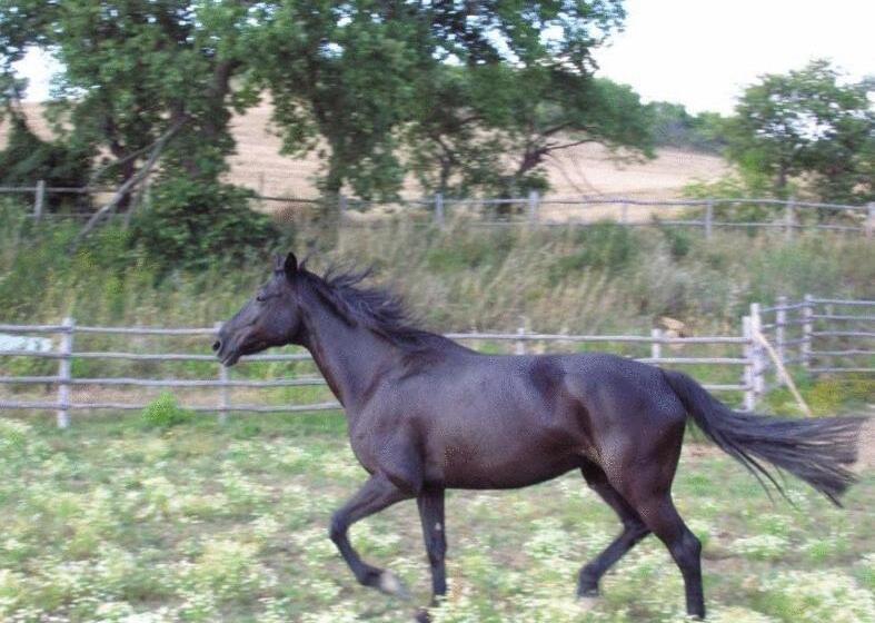 Le Murelle Country Resort