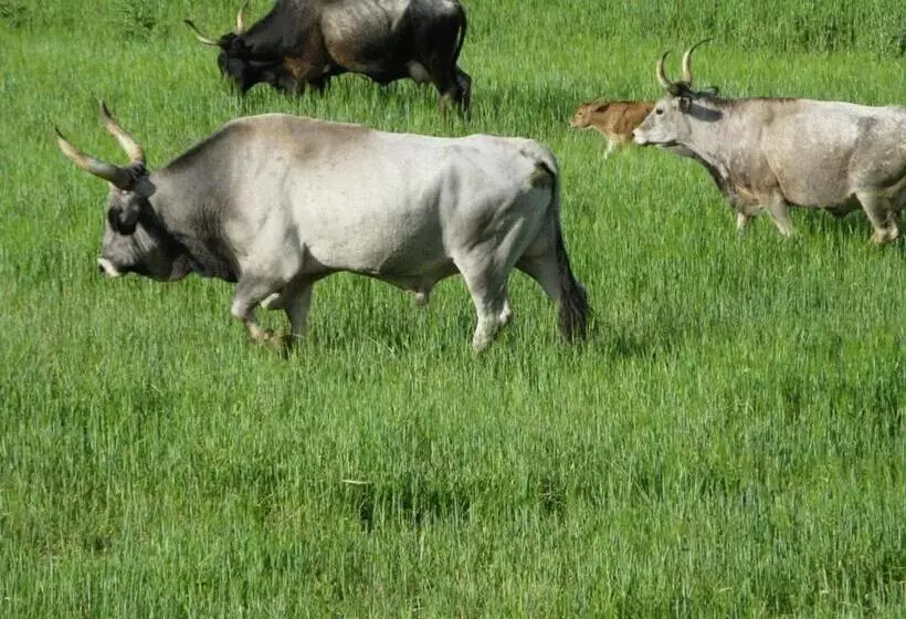 Le Murelle Country Resort