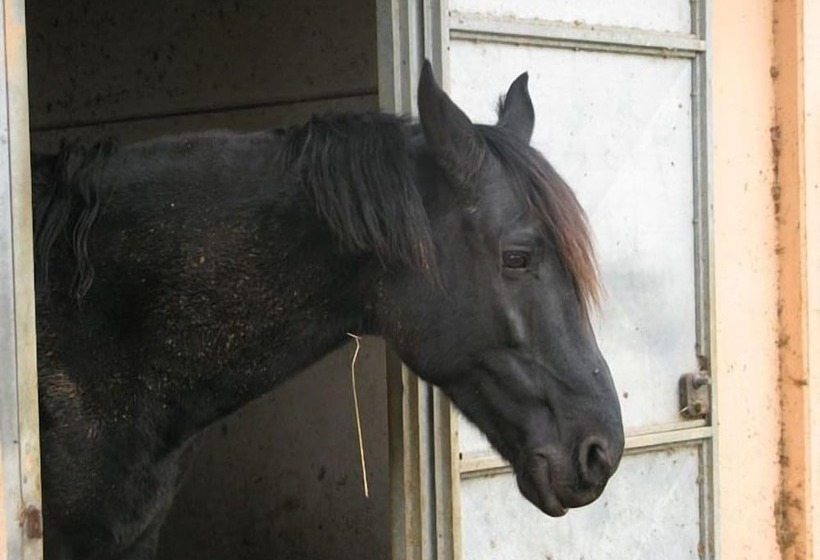 Le Murelle Country Resort