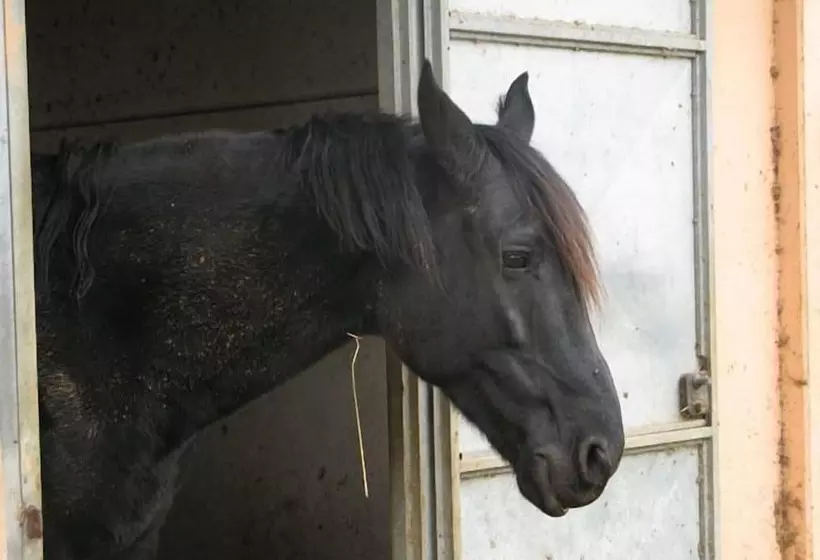 Le Murelle Country Resort