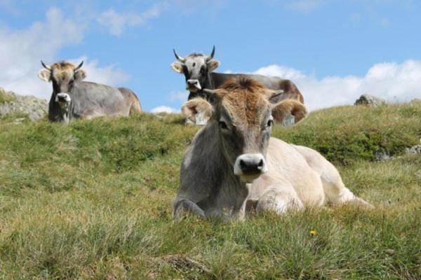 Olympia Privathotel Garni