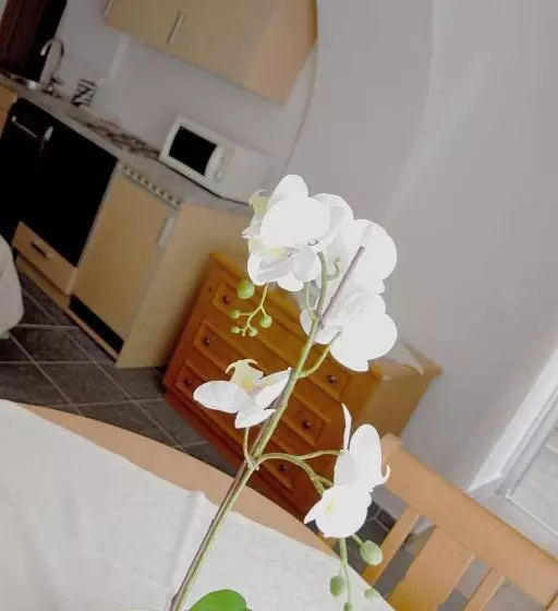 펜션 Gasthof Restaurant Murblick