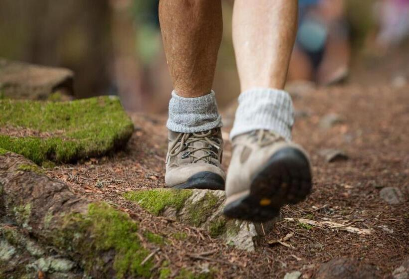 Active Hotel Gran Zebru