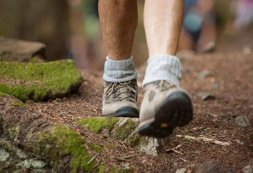 Active Hotel Gran Zebru