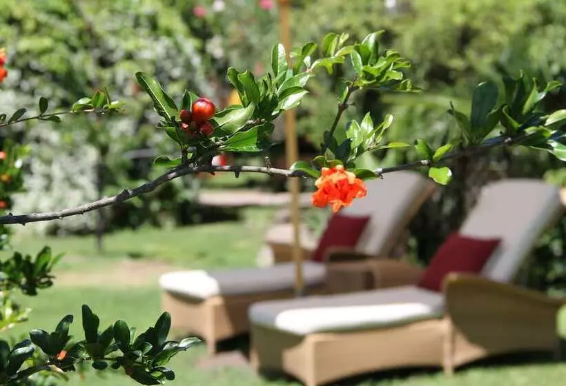 Gartenresidence Zea Curtis