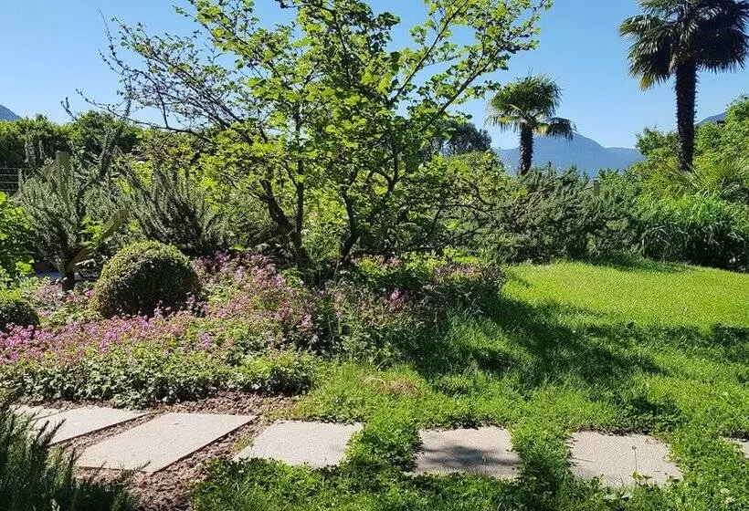 Gartenresidence Zea Curtis