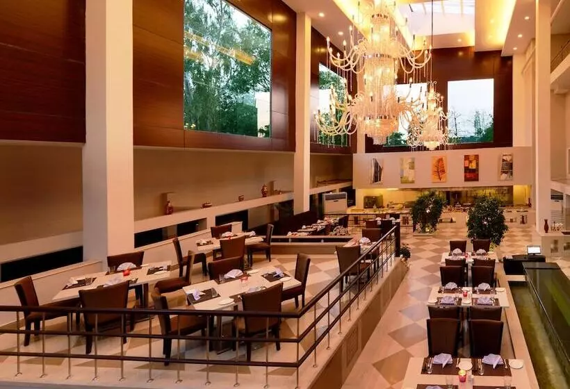 Ginger Hotel, Gurugram