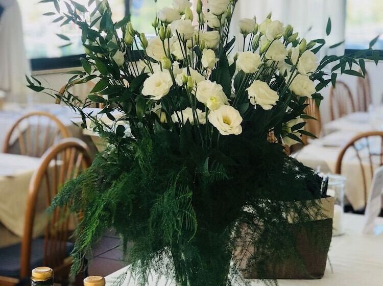 בית מלון כפרי Brunella