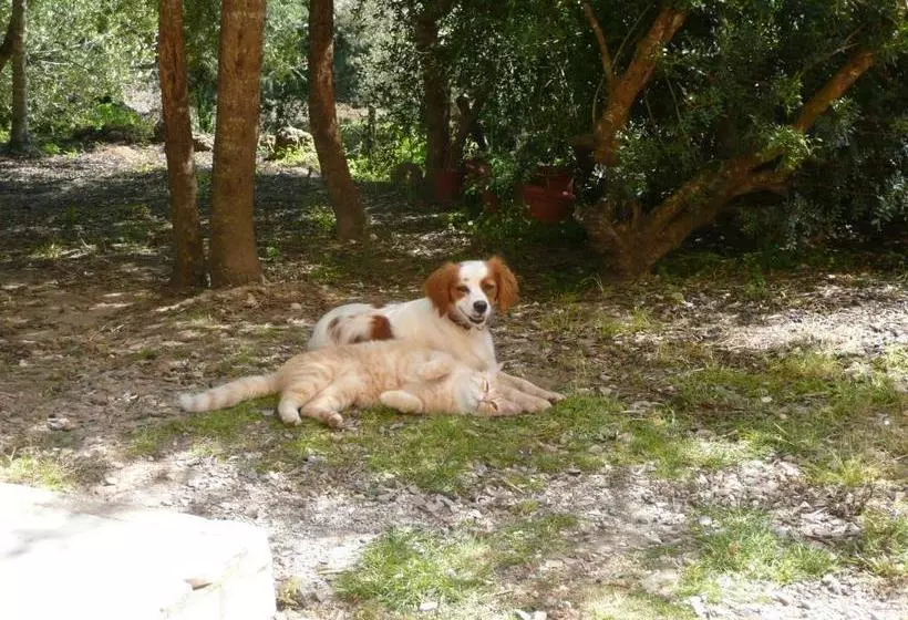 هتل B&b Nidi Della Poiana