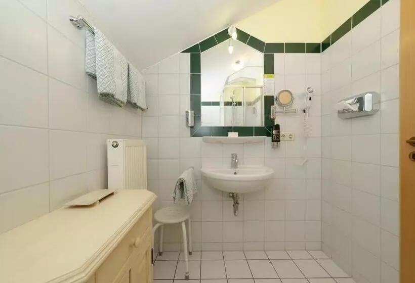 بنسيون Zum Maximilian