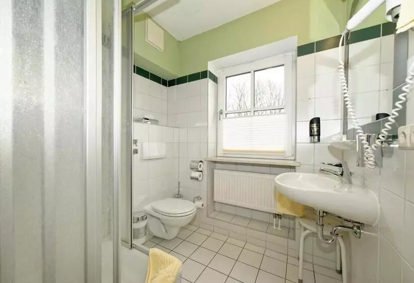 بنسيون Zum Maximilian