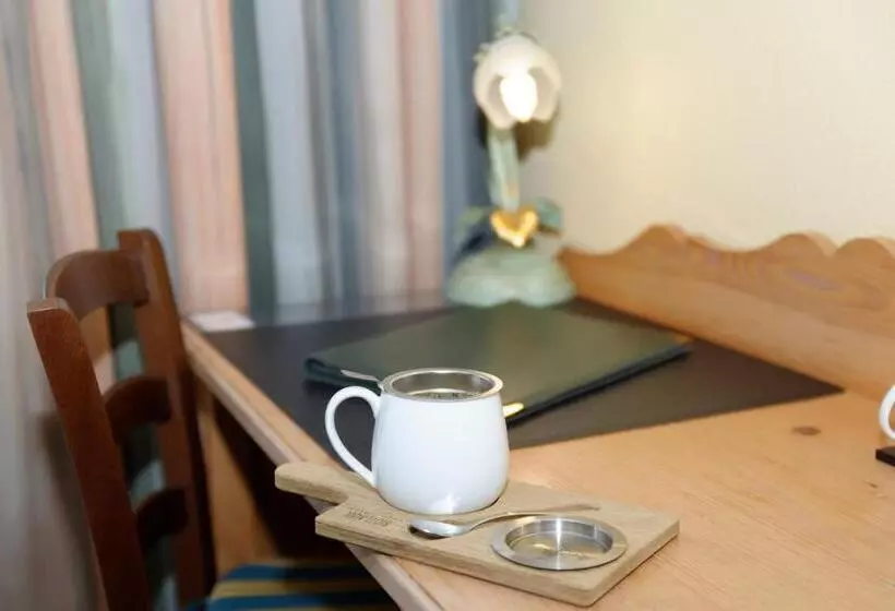 بنسيون Zum Maximilian