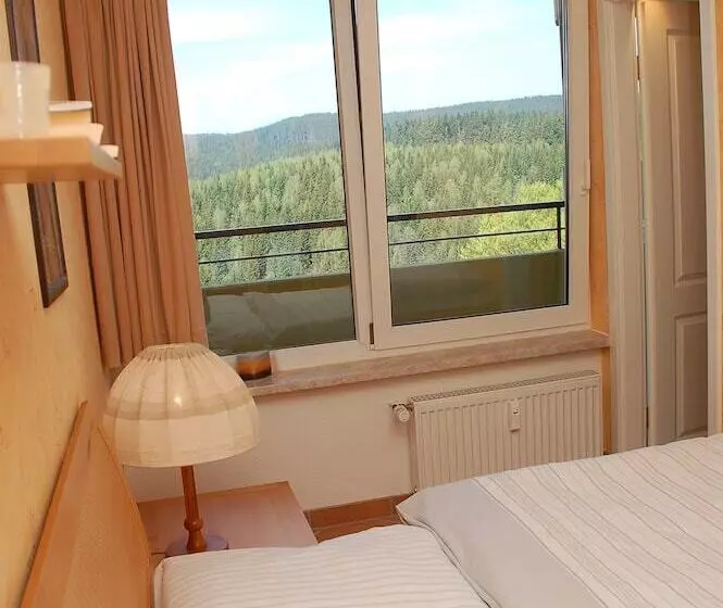 Ferienapartments Panoramic Oberharz