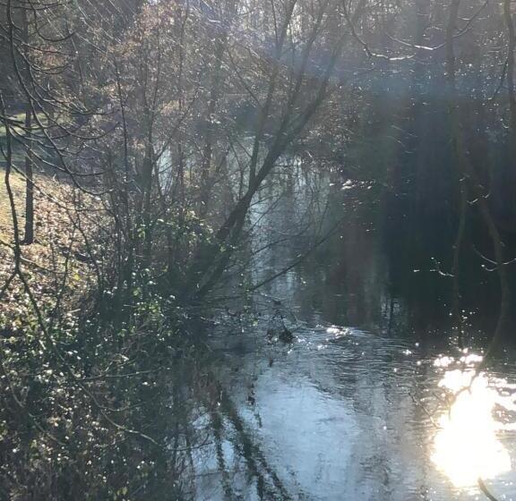 ホテル Am Doktorplatz