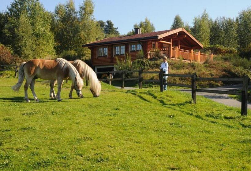 בית מלון כפרי Anlage Country Lodge