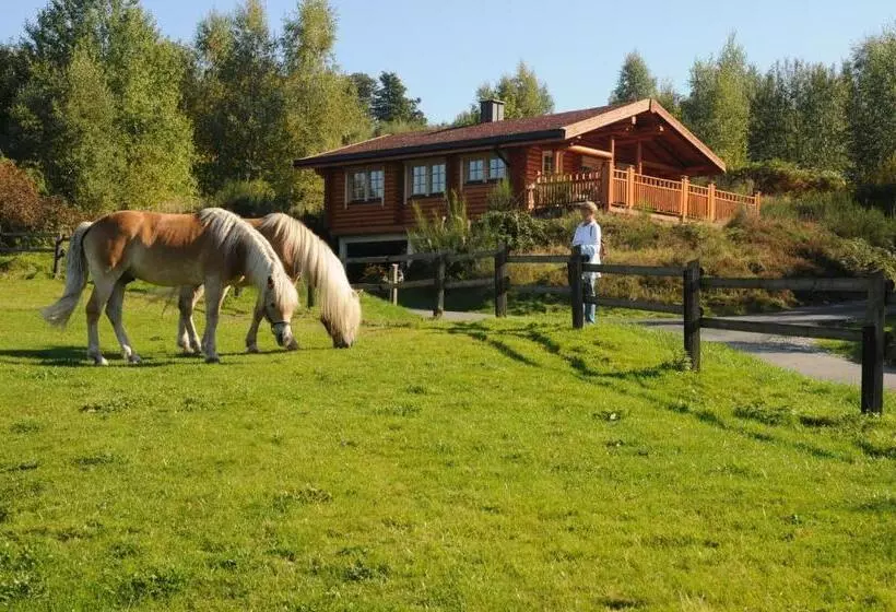 בית מלון כפרי Anlage Country Lodge