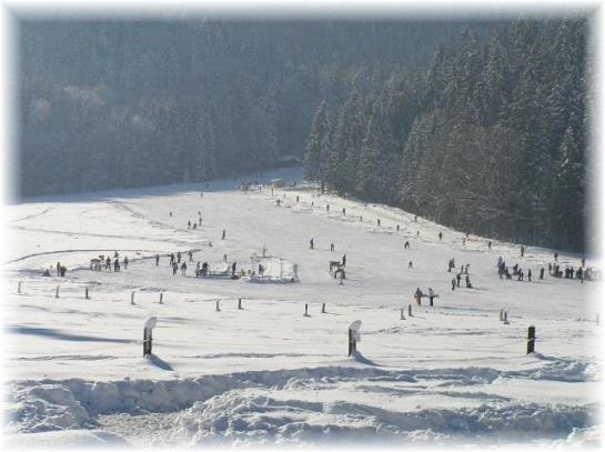 Bauernhof Haus Kandlinger - Kreuth-brunnbichl