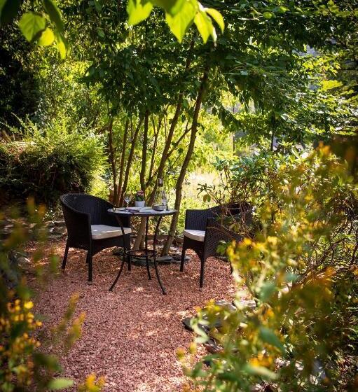 בית מלון כפרי Boutique Jungenwald