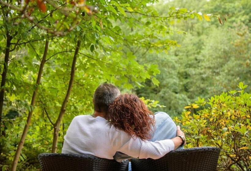 בית מלון כפרי Boutique Jungenwald