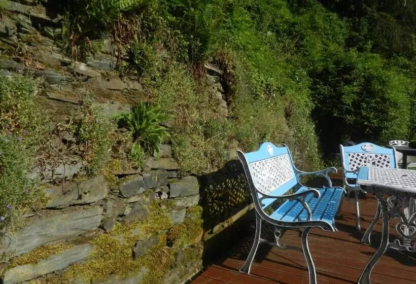 Отель Boutique Jungenwald