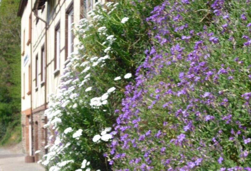 בית מלון כפרי Boutique Jungenwald