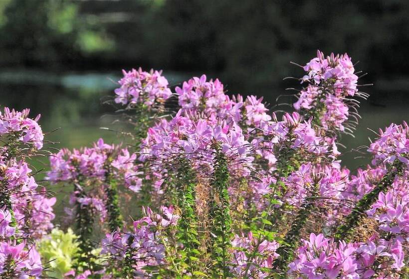 Hotel Eberhards Am Wasser