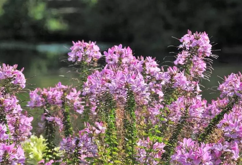 호텔 Eberhards Am Wasser