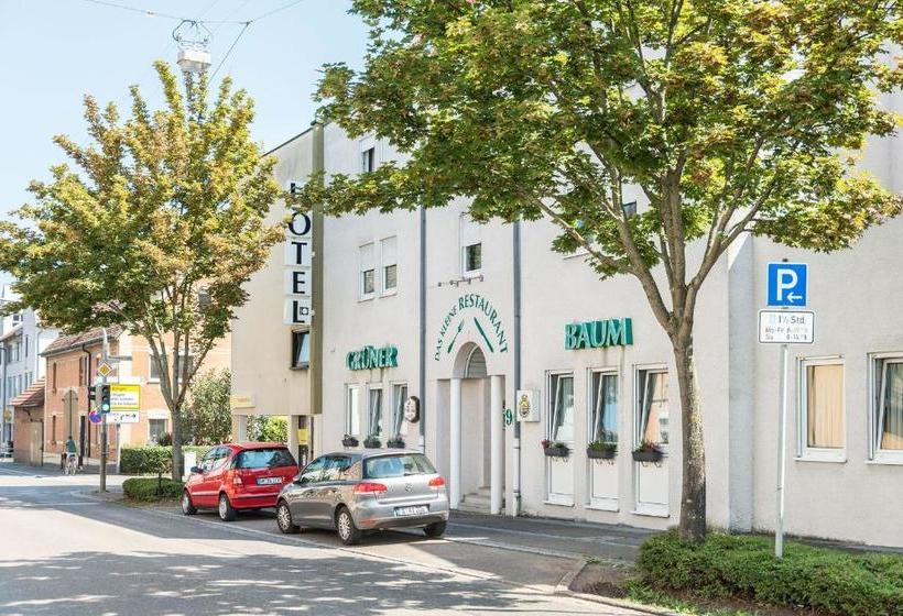 Отель Grüner Baum