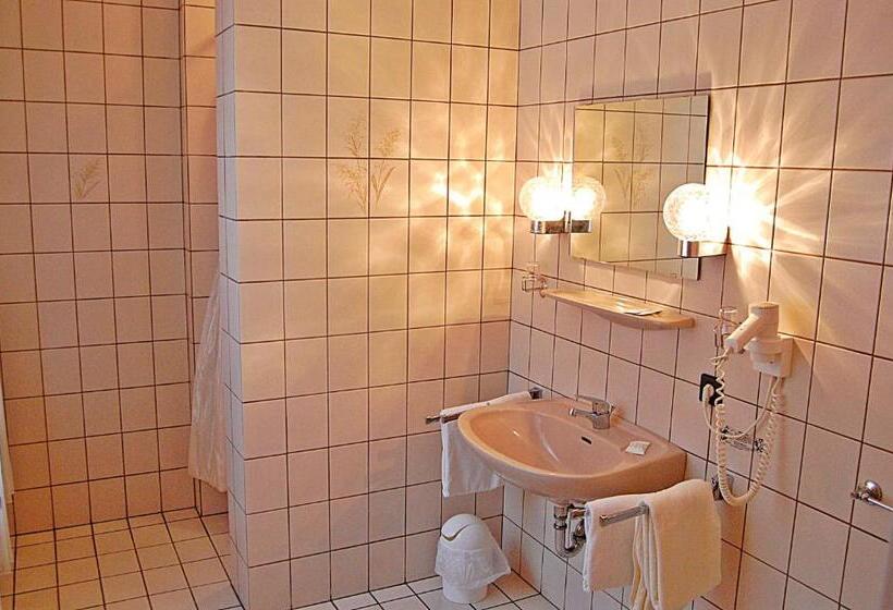 Отель Hubertushof