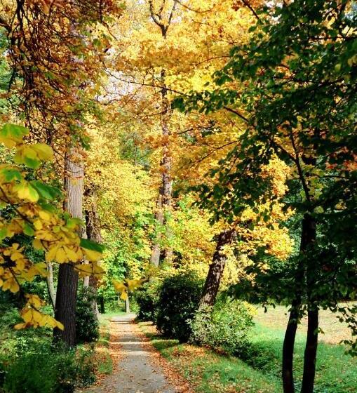 호텔 Im Kavalierhaus