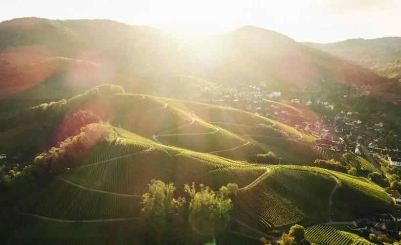 호텔 Restaurant Der Engel, Sasbachwalden