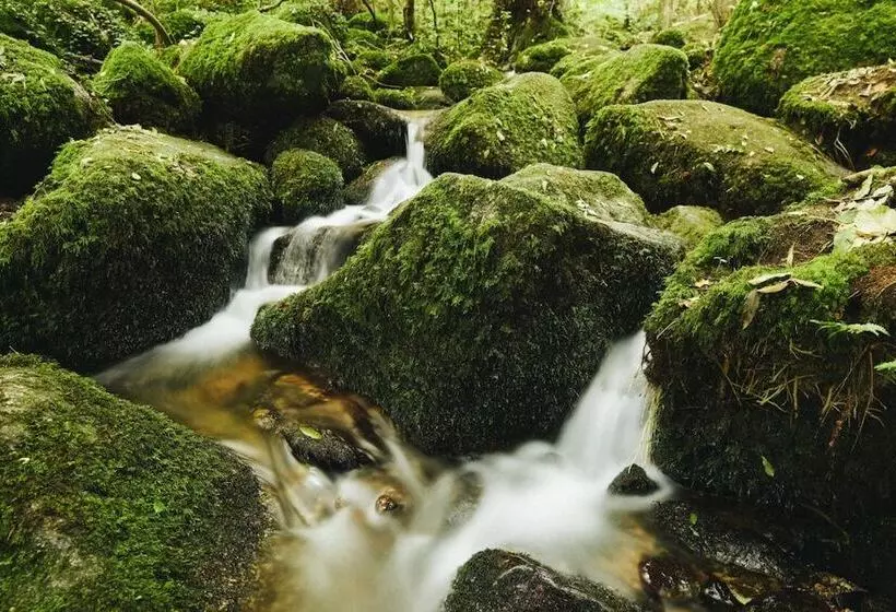 호텔 Restaurant Der Engel, Sasbachwalden
