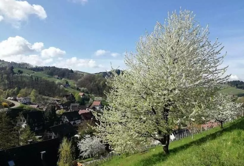 호텔 Restaurant Der Engel, Sasbachwalden