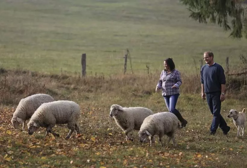 酒店 Restaurant Lindenhof
