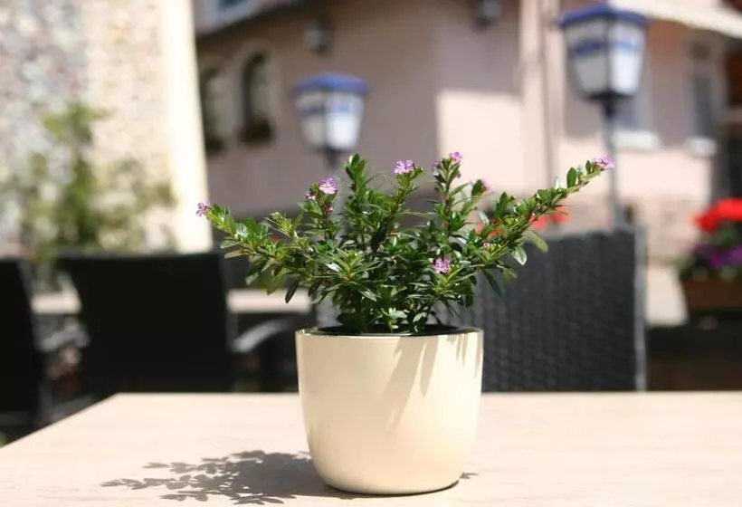 فندق Restaurant Zum Hirschen