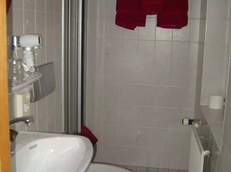 Отель Scheffelhof