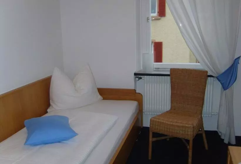 Отель Scheffelhof