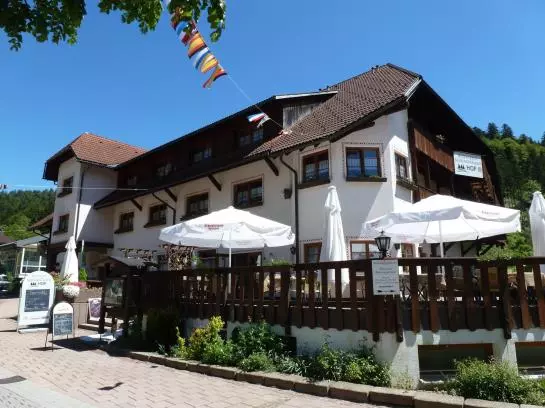 Hotelli Schwarzwälder Hof
