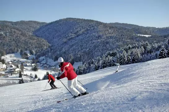 Hotelli Schwarzwälder Hof