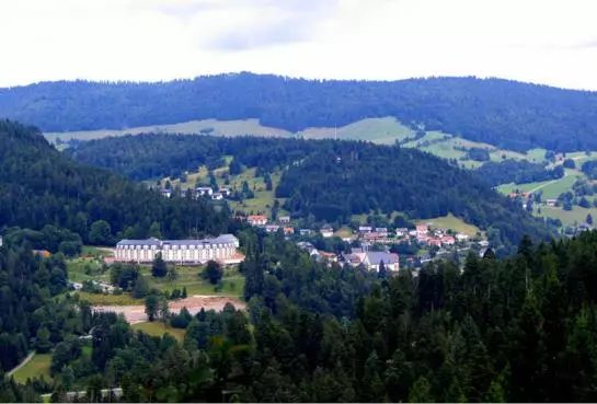 Hotelli Schwarzwälder Hof