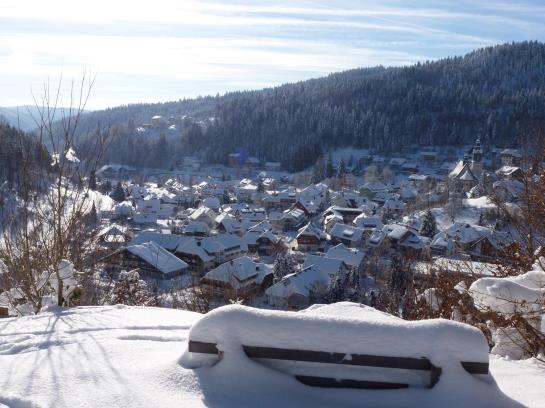 Hotel Schwarzwälder Hof