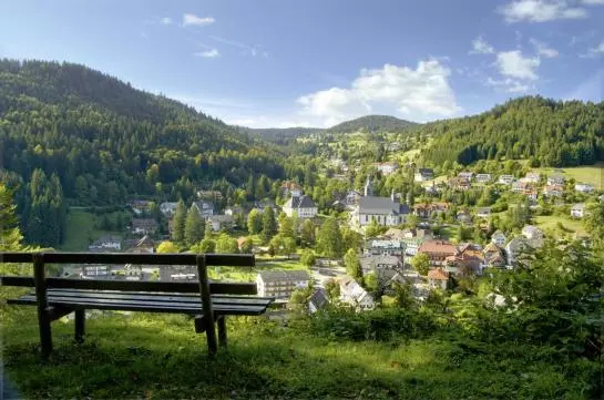 Hotelli Schwarzwälder Hof