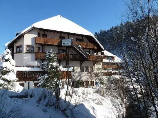Hotelli Schwarzwälder Hof